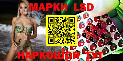гидра Аргун