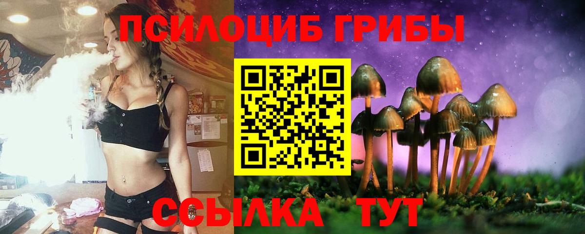 Галлюциногенные грибы Psilocybine cubensis  Псилоцибиновые грибы MAGIC MUSHROOMS  Вход с VPN  Бахчисарай 