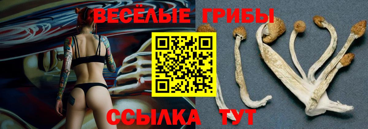 Галлюциногенные грибы Psilocybe Бахчисарай